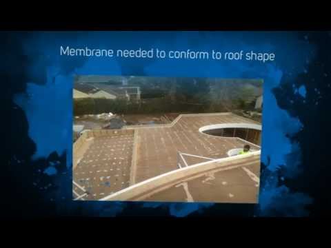 Curved Flat Timber Roof - Waterproofing Membrane 