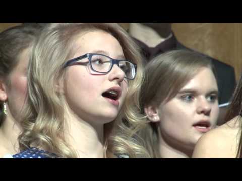 Schadzowanka 2015 *** 08 Serbska kulturna Brigada