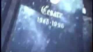 CHARLEMAGNE PALESTINE live Holland 1998