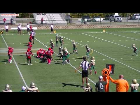 Loganville vs Grayson 9u 2016