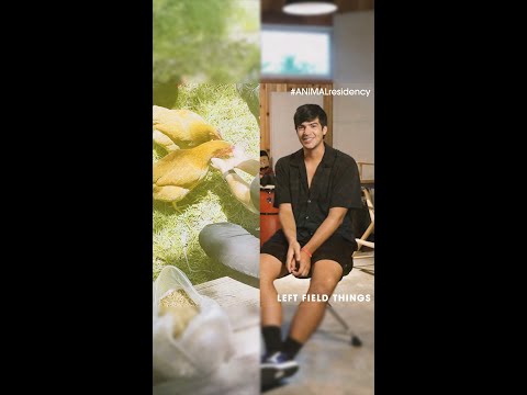 Left Field Things at ANIMAL / Folktale San Pedro Residency