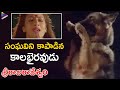 Kalabhairava Saves Sanghavi From Ramya Krishna Sri Raja Rajeshwari Telugu Movie Scenes
