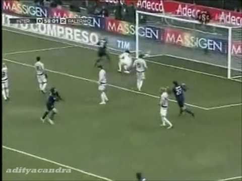 Internazionale vs Palermo 3-2 Highlights Serie A 30/01/2011 All Goals