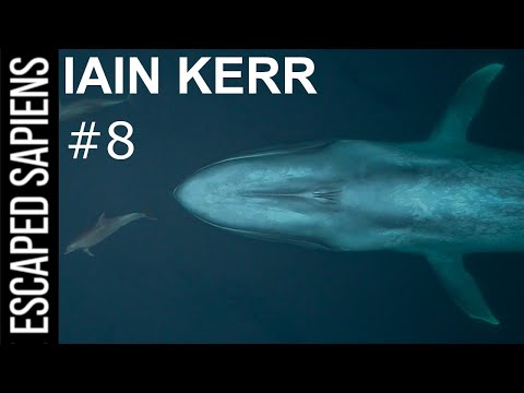The Mission To Collect Whale Snot With Drones! | Iain Kerr | Escaped Sapiens Podcast #8