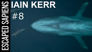 #8 Iain Kerr | The Mission To Collect Whale Snot With Drones!