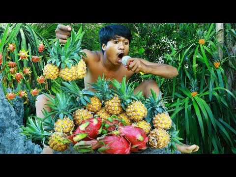 Find Fruits for food - Rich fruits at up the hill - A Lots of pineapple and dragon in the mountain