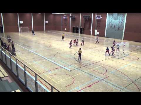 HC Houten D1 Road to Hoofdklasse seizoen 13/14