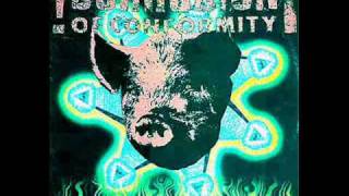 King of the Rotten (Corrosion of Conformity) Kotzaak Mix - Stickhead