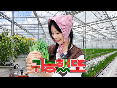 [#구독이벤트] 두쫀쿠, 봄동비빔밥 다음은 무조건 파전이겠지... 봉화군 스마트팜 파헤치러 감! ｜