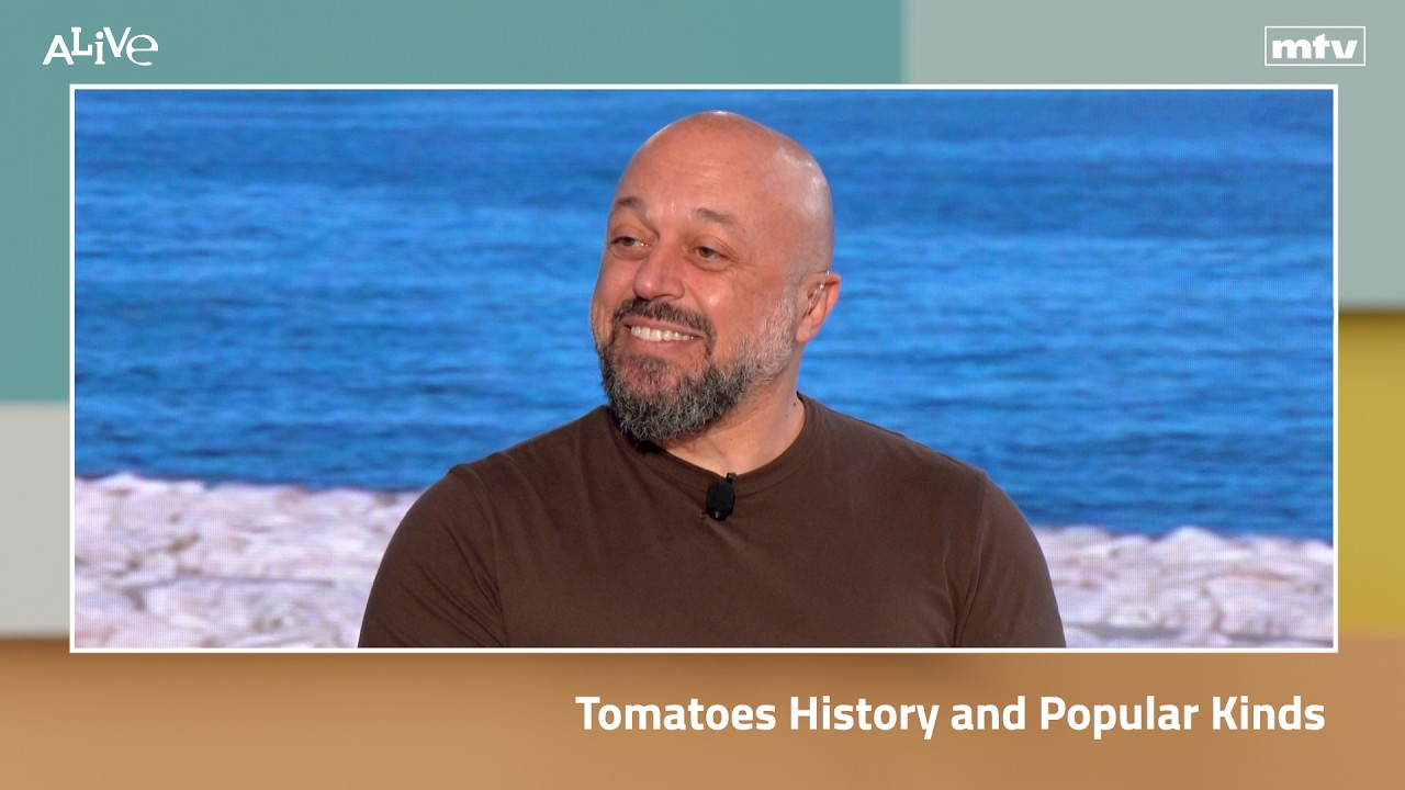 Tomatoes History and Popular Kinds
