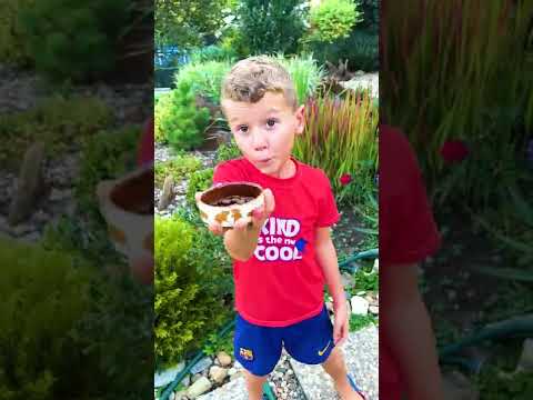 Learn with Marek how to behave with dogs 🐶 Rules of conduct for kids