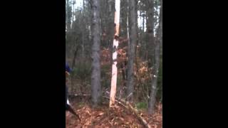 How to clear line of sight for satellite tv