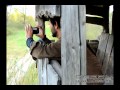 Vidéo
