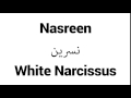 How To Pronounce Nasreen Middle Eastern Names