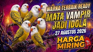 Download lagu MATA VAMPIR IDOLA,WARNA TERBAIK READY✓27 AGUSTUS 2026✓HARGA MIRING mp3