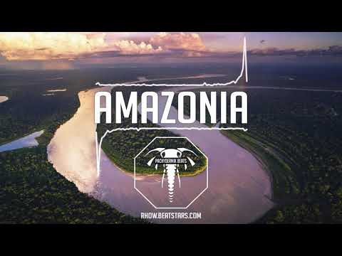[ FREE ] New PNL x Future Type Beat 2019 " AMAZONIA " / Trap with flute instrumental