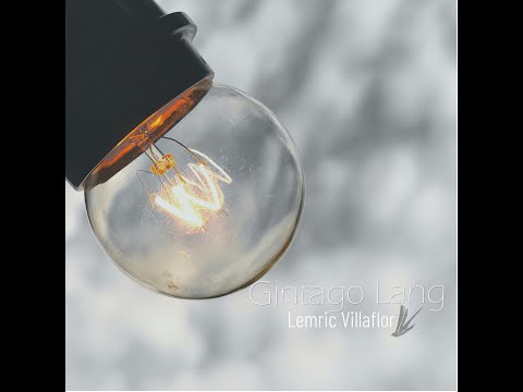 Lemric Villaflor - Gintago Lang (Official Lyric Video)