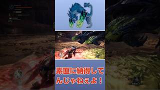 【モンハンアイスボーン】ブラキディオスが倒せないぃぃ！【MHWIB】 #モンハンワールド #モンハンアイスボーン #双剣