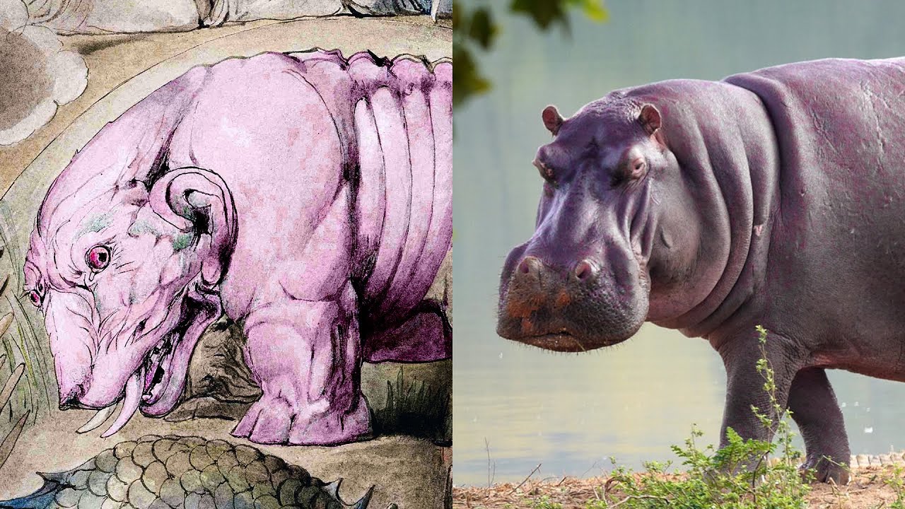 Mythical Creatures in the Bible (Old Testament Edition)