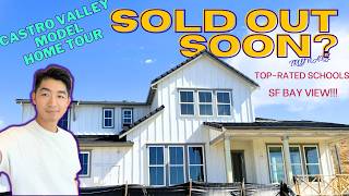 CASTRO VALLEY SHOCKER New Development Changes Bay Area Real Estate in 2024!