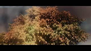 Enero en casa - Short Film