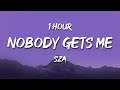 1 HOUR SZA Nobody Gets Me Lyrics
