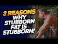 3 Reasons Why Stubborn Fat is Stubborn!