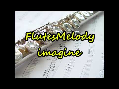 #ArianaGrande Imagine Flute Cover