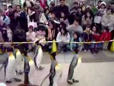 Penguin Parade 1