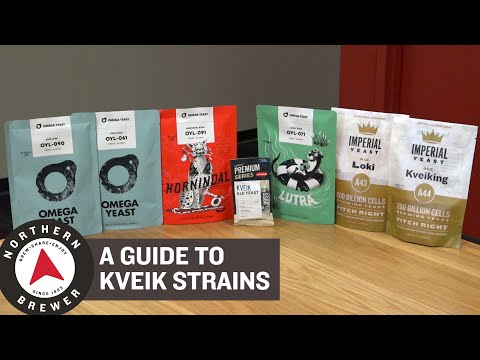 A Homebrewer's Guide to Kveik Yeast Strains & Blends