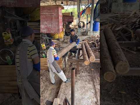 Working hard to get married--Sawing timber