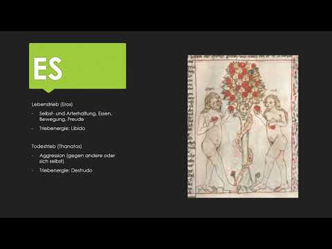 FREUD 4 Psychosexuelle Entwicklung