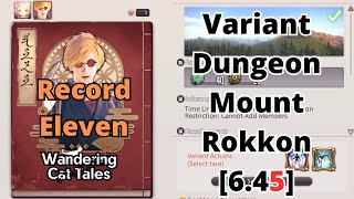 FFXIV: Mount Rokkon Record Eleven Guide