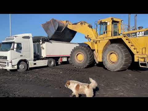 Caterpillar 990 Wheel Loader Loading Lorries With Coal - Ektor Epe