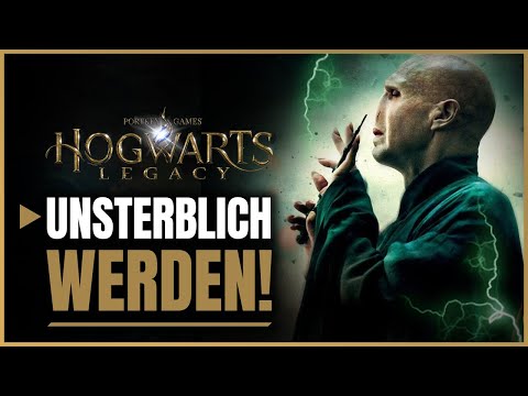 Hogwarts Legacy best build - This will destroy everything