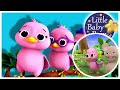Five Little Birds 3D Nursery Rhymes Original Song Based On 5 Little Ducks ACAPELLA