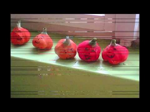 Moja prvá záhrada, 2. časť