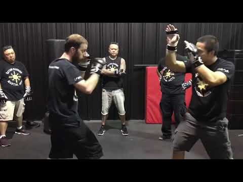Bayani Warrior Martial Arts: Filipino Boxing with Muay Thai Knee
