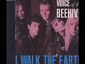 Voice of the Beehive - I Walk the Earth (original version)