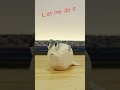 Let Me Do It For You Q Alphabet Lore Edition Shorts