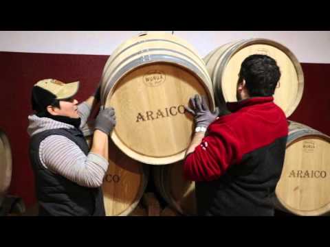 Bodegas araico Miniatura de video de YouTube 5