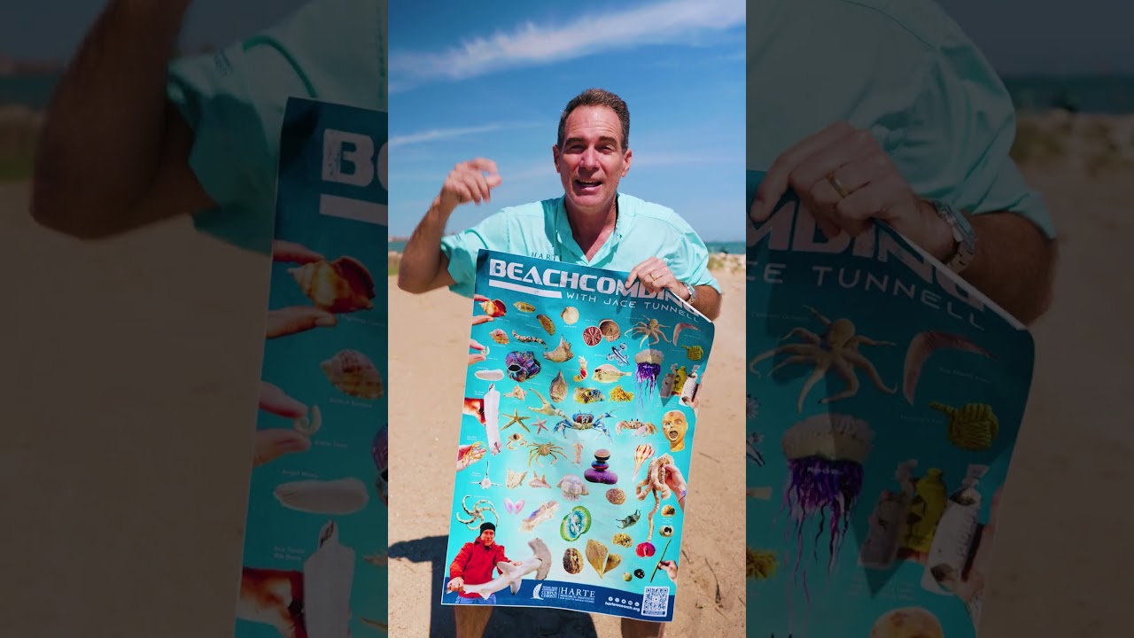 Announcing the Beachcombing with Jace Tunnell Poster