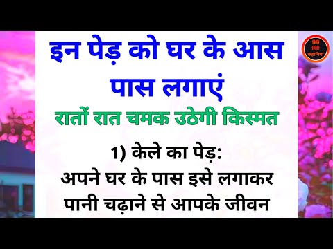 इन पेड़ को घर के आस पास लगाएं। सच्ची और अनमोल बाते। Achhe vichar। Hindi Quotes। Best line