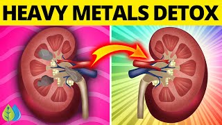 Heavy Metals Detox: Top 11 Foods to Detox Heavy Metal From Your Body