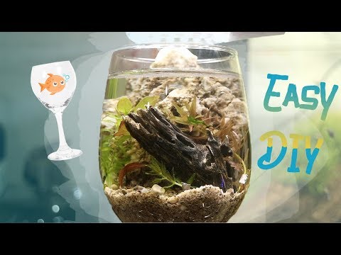 HOW TO: WineGlass Aquarium!