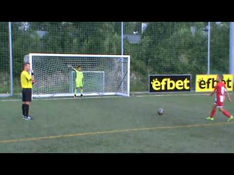 ДИТ  2007  -  ЦАРСКО СЕЛО   ДУЗПИ