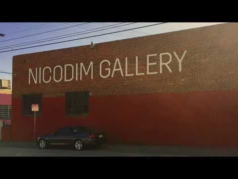 Dove Release at Nicodim Gallery