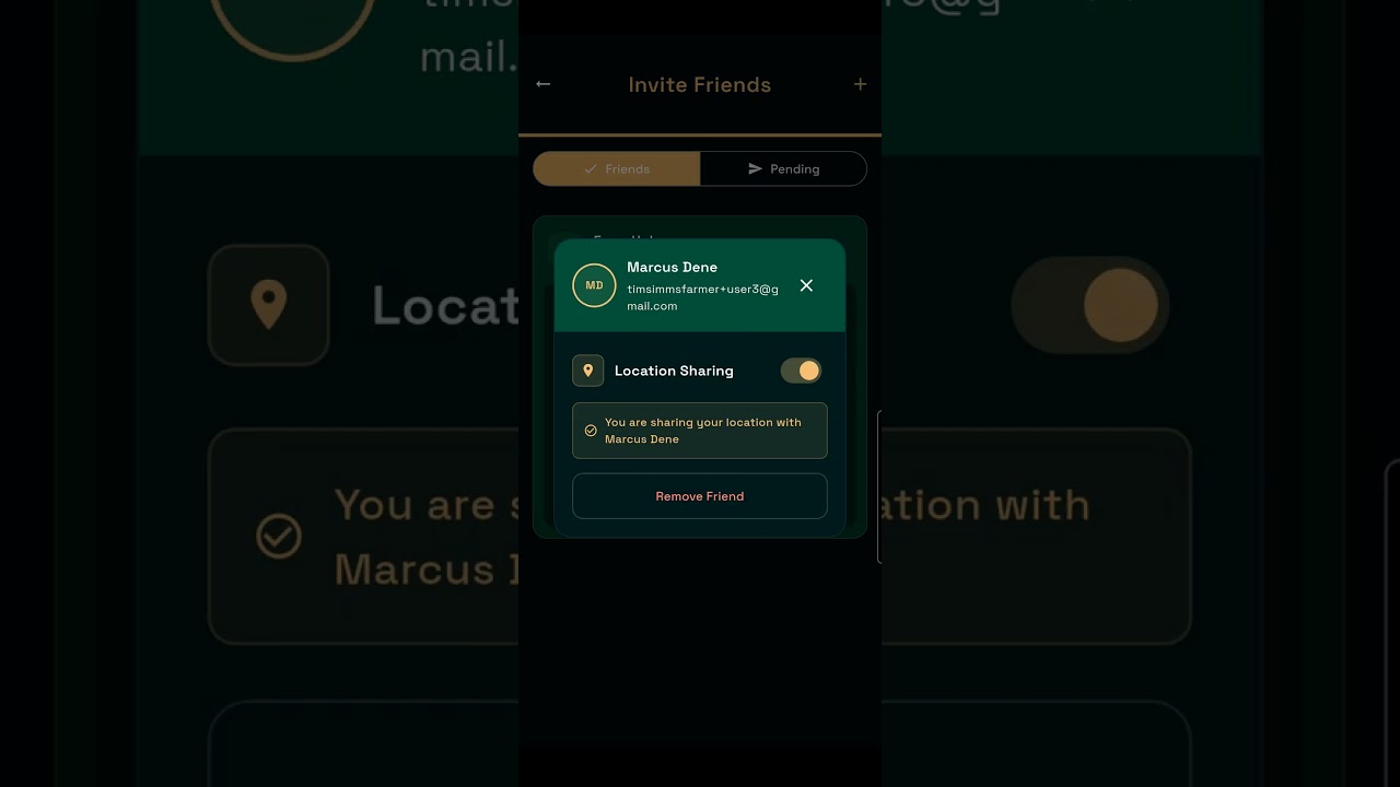 AGManager Location Settings V1