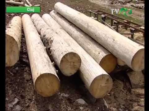 Natură şi aventură - Parcul Naţional Apuseni