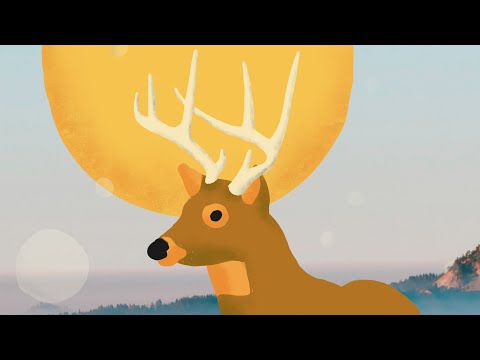 Video thumbnail for All Beings United